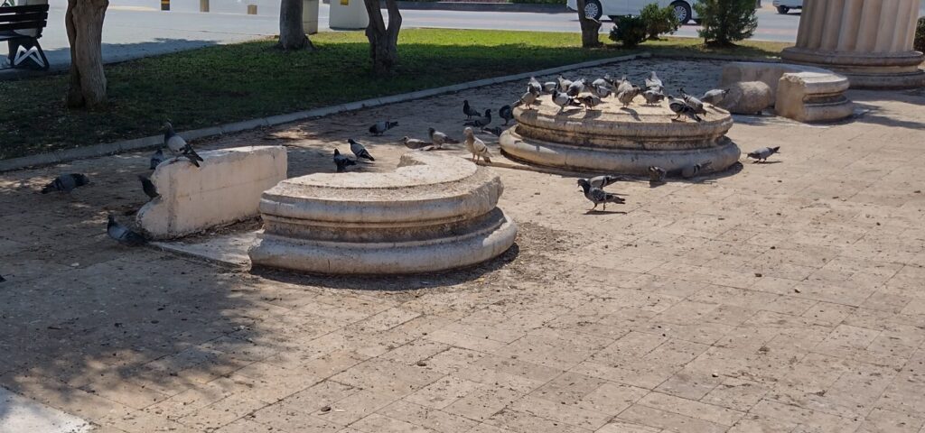 Antyczne karmniki dla gołębi w Mersin