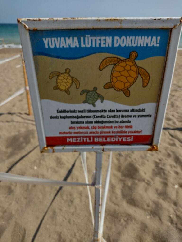 Ogrodzone na plaży miejsca, gdzie żółwie wychodzą z morza składać jajka