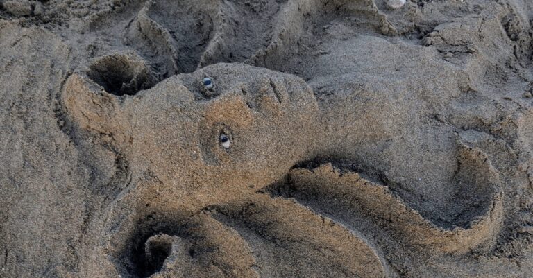 Fotogeniczne babki z piasku