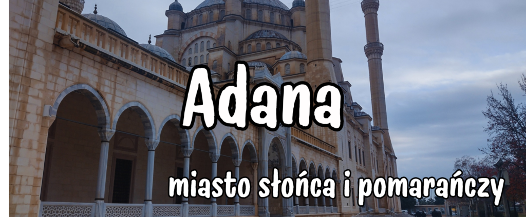 Adana Widok miasto